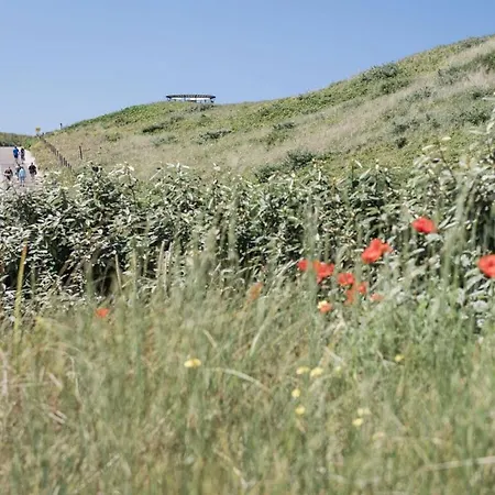 Duynsuites Near The Sea * Callantsoog